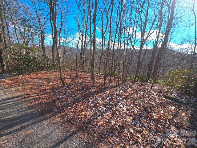Land for sale in Haywood, North Carolina