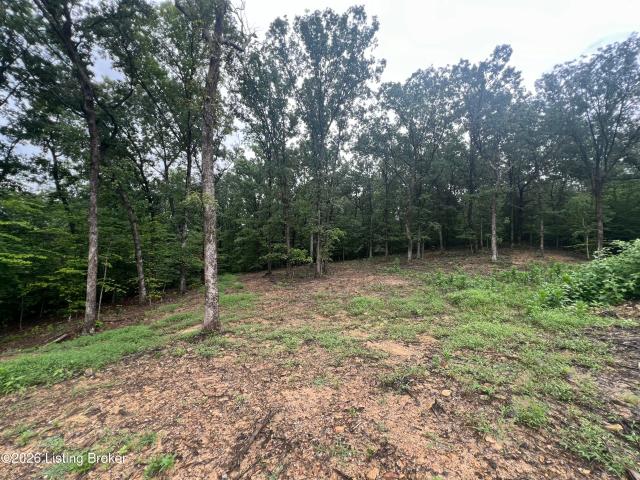 Land for sale in Kentucky