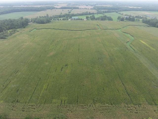 Land for sale in Reading, Hillsdale County