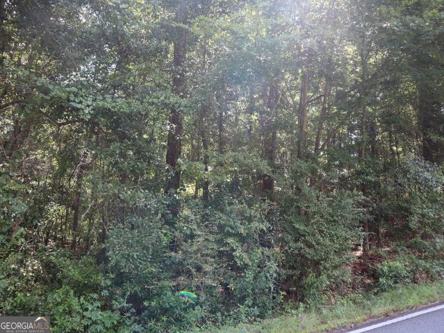Land for sale in Macon, Georgia