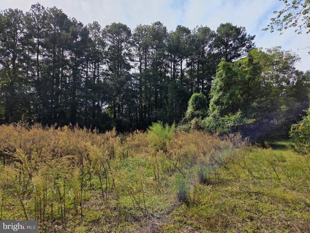Land for sale in Snow Hill, Maryland