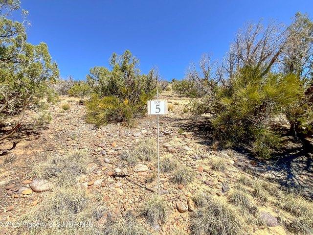 Land for sale in Farmington, San Juan County