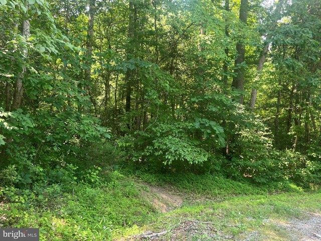 Land for sale in Virginia