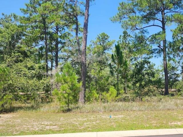 Land for sale in Ash, North Carolina