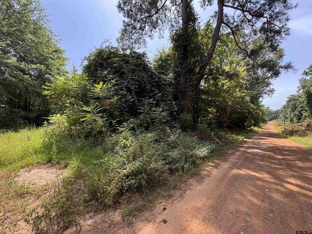 Land for sale in Morris, Texas
