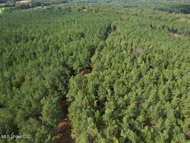 Land for sale in Eupora, Webster County