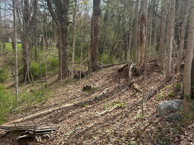 Land for sale in Holmes, New York