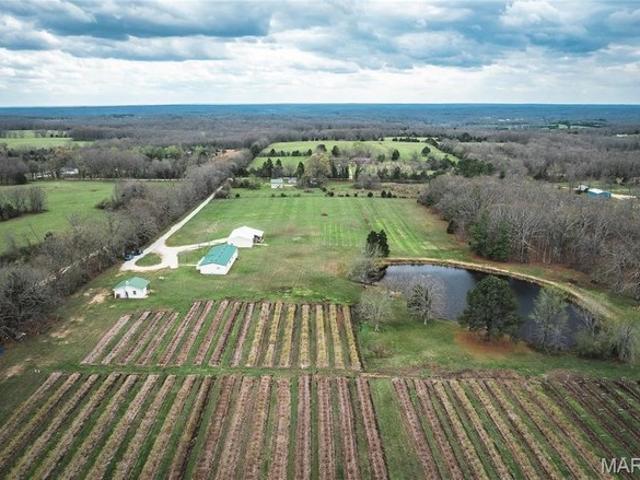 Farm for sale in Leasburg, Missouri