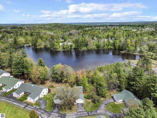 Condo for sale in Williamsburg, Michigan