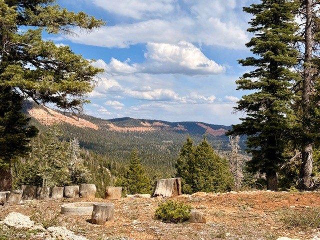 Land for sale in Duck Creek Village, Utah