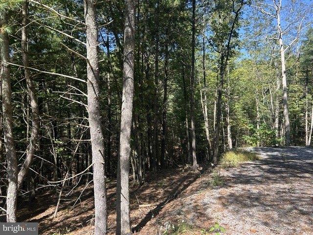 Land for sale in Hardy, West Virginia