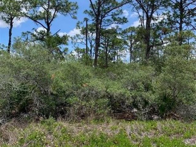 Land for sale in Lake Placid, Florida