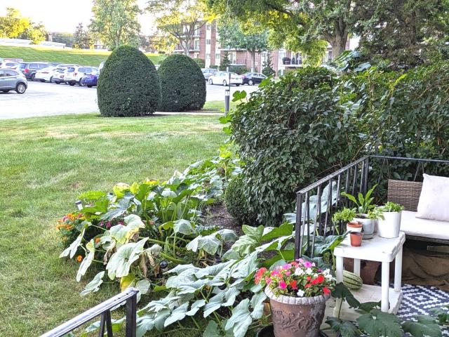 Condo for sale in Downers Grove, DuPage County
