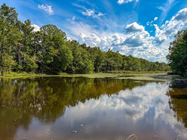 House for sale in Selma, Alabama