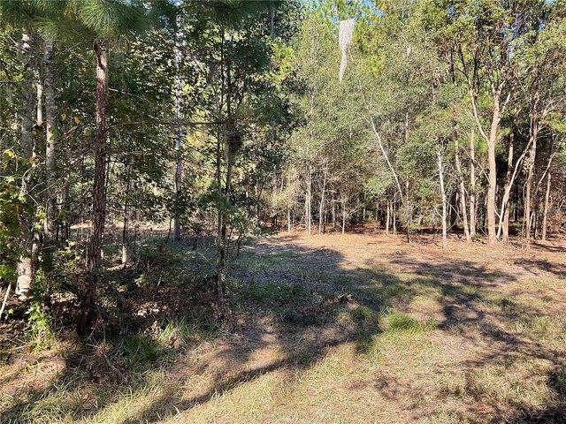 Land for sale in Gainesville, Florida