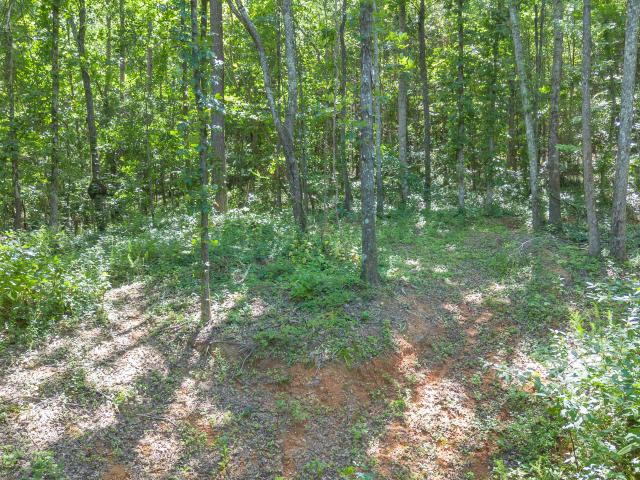Land for sale in Tennessee
