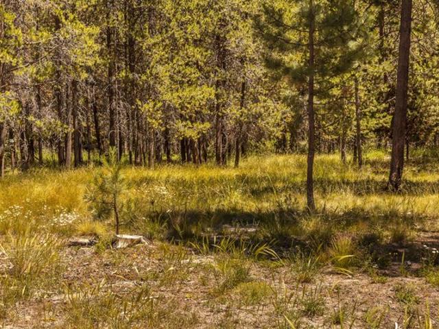 Land for sale in Oregonia