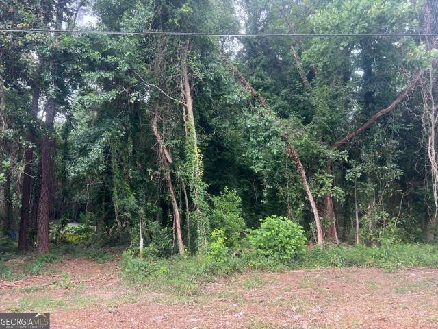 Land for sale in Clayton, Georgia