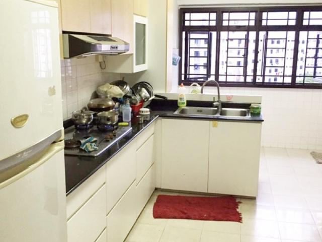 Apartment for sale in 19 North East, Hougang
