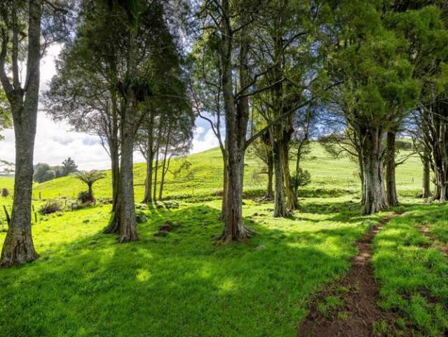 Property for sale in Raglan, Waikato
