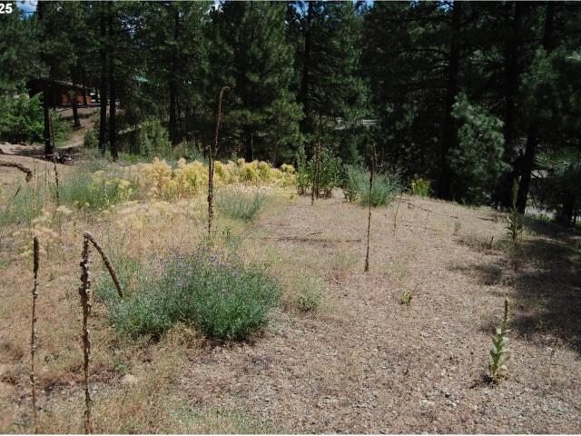 Land for sale in Oregonia