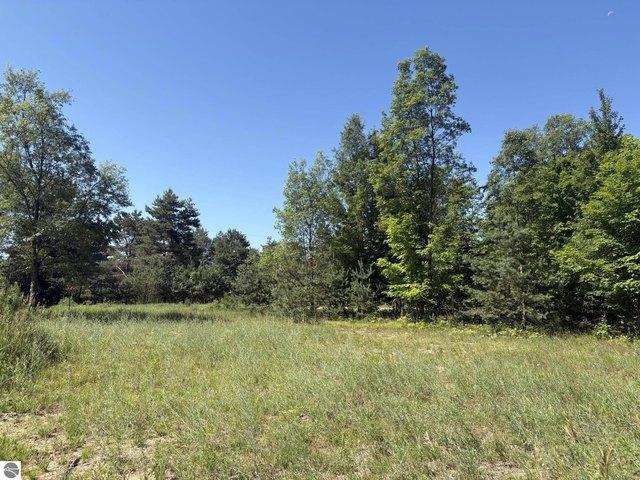 Land for sale in Mesick, Michigan