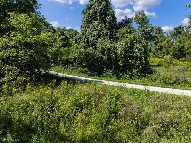 Land for sale in Belmont, Ohio