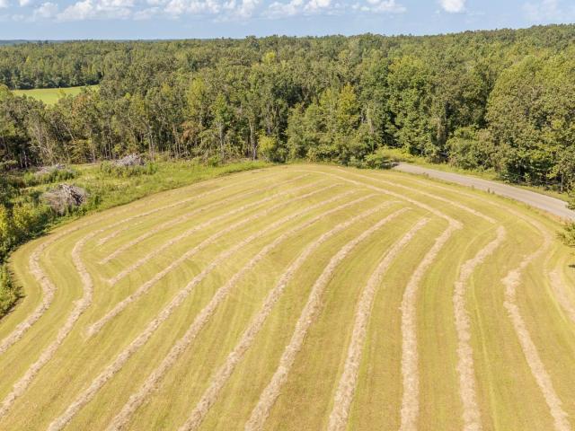 Land for sale in Damon, Michie