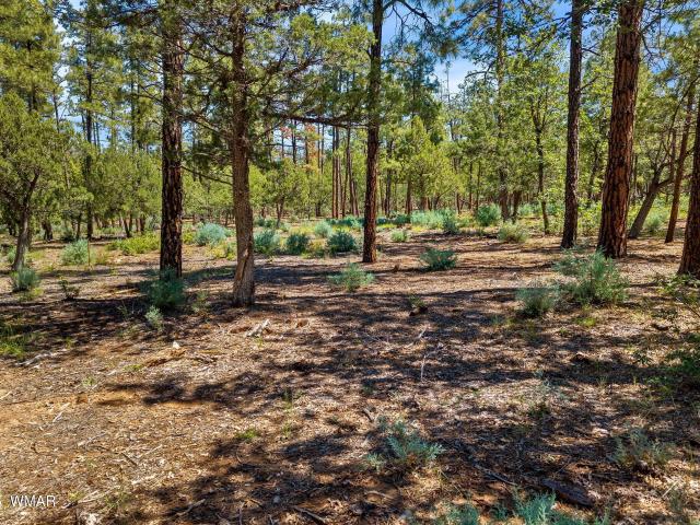 Land for sale in Navajo, Arizona