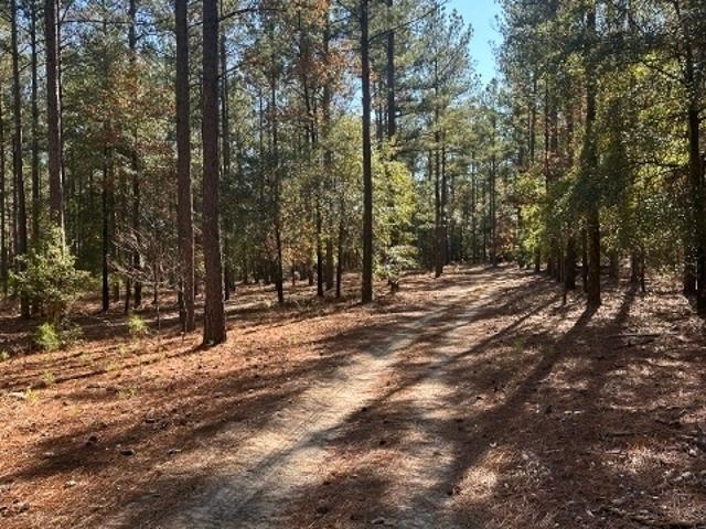 Farm for sale in Mitchell, Georgia