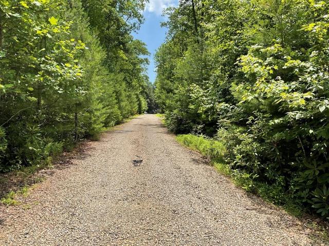 Land for sale in Virginia