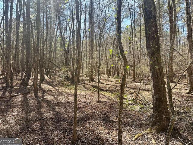 Land for sale in Dahlonega, Georgia