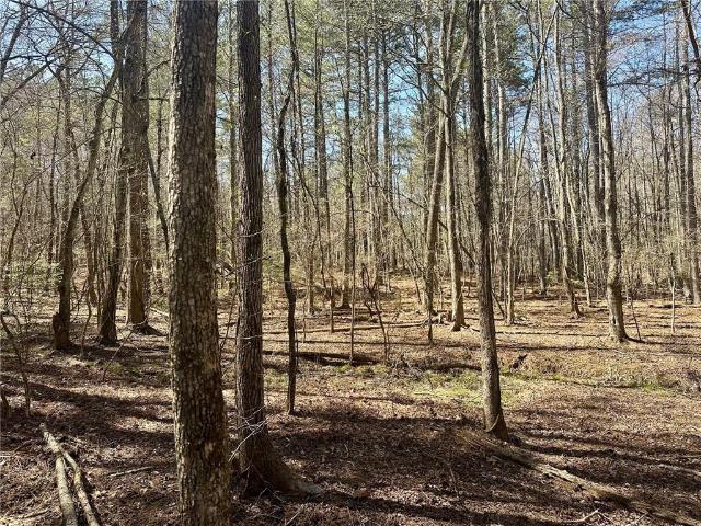 Land for sale in Dahlonega, Georgia