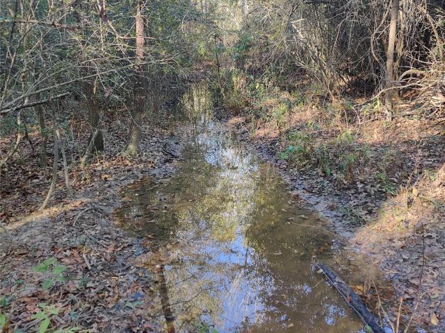 Land for sale in Milam, Texas