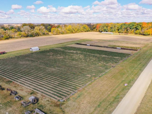 Land for sale in Rice, Minnesota