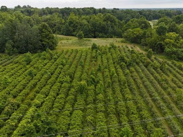 Land for sale in Michigan