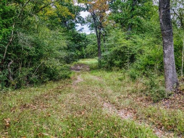 Farm for sale in Grimes, Texas