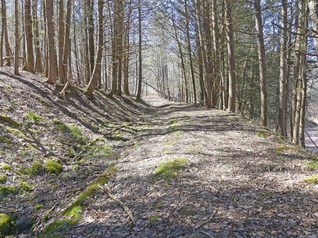 Land for sale in Andes, New York