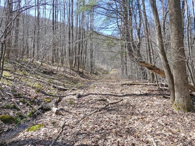 Land for sale in Andes, New York
