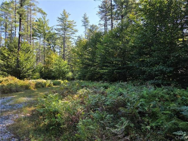 Land for sale in Brantingham, New York