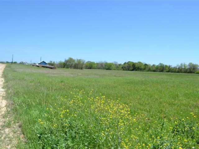 Land for sale in Bleiblerville, Texas