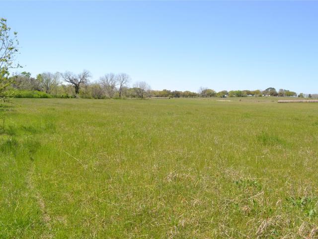 Land for sale in Bleiblerville, Texas