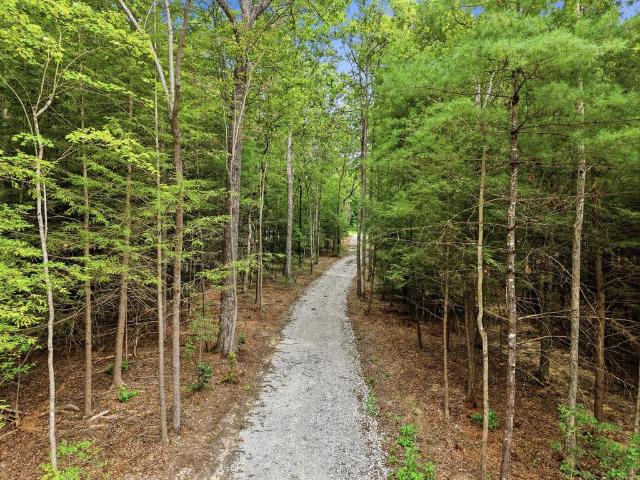 Land for sale in Tennessee