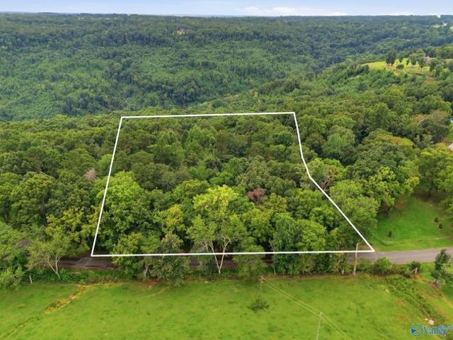 Land for sale in Alabama