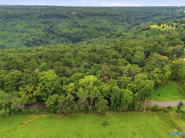 Land for sale in Morgan County, Alabama