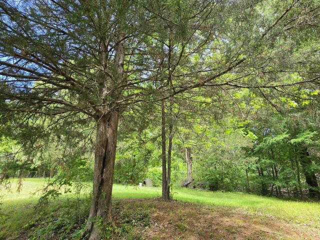 Land for sale in Byhalia, Mississippi