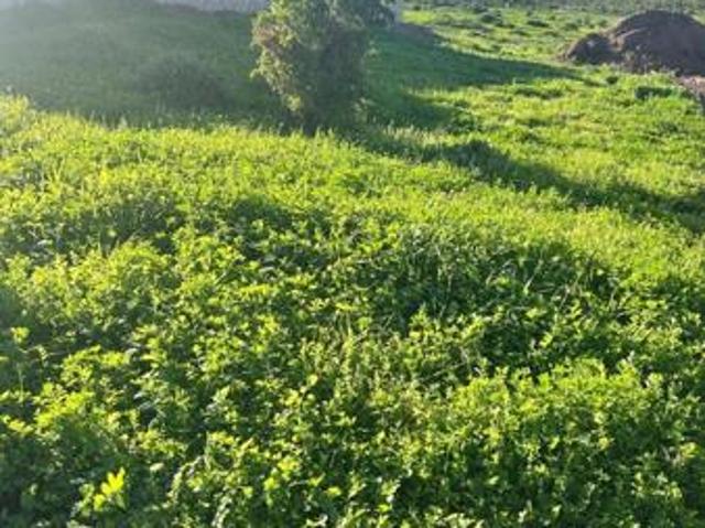 Land for sale in Western Cape