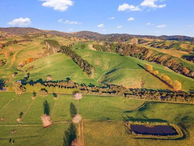 Property for sale in Kaihere, Waikato