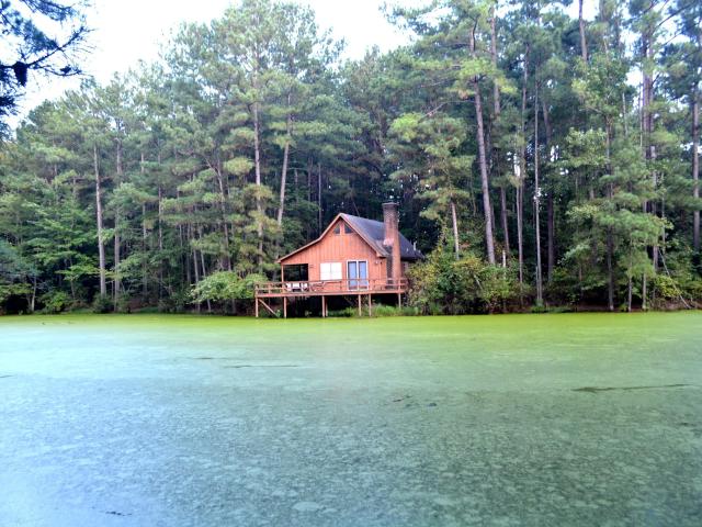 Land for sale in Spring Hope, North Carolina