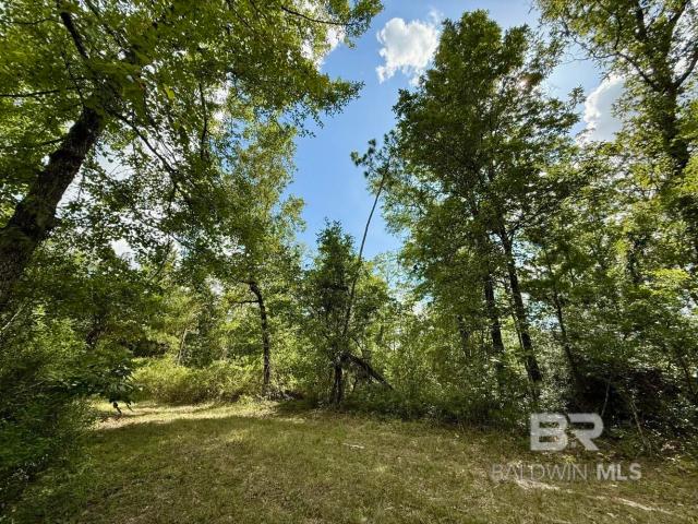 Land for sale in Chatom, Alabama